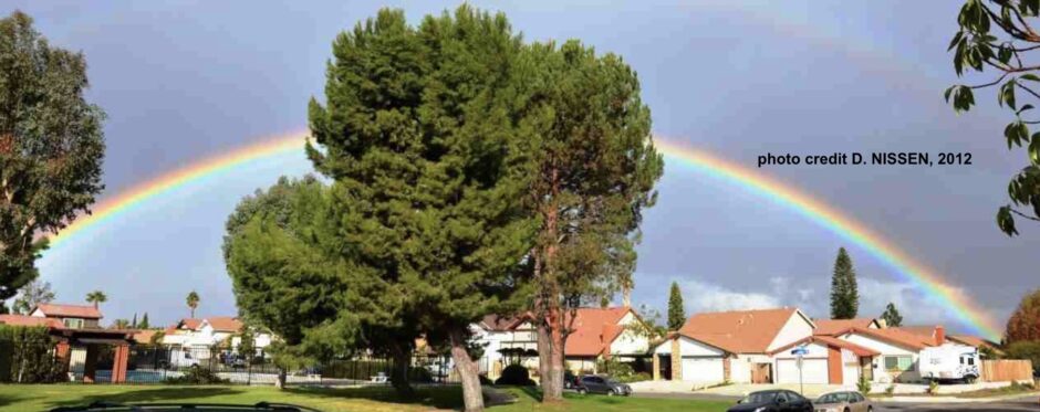 Mesa View Homeowners' Association #3